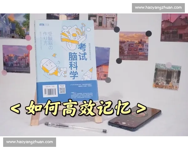 提升学习效率的科学训练方法与实战效果全解析